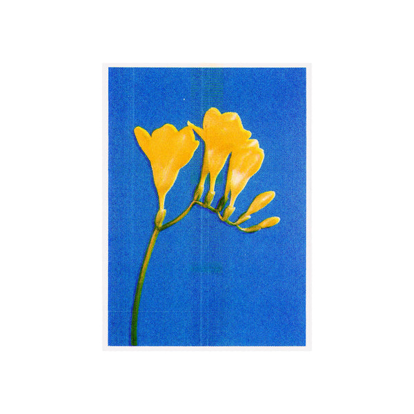Ryu Katsumata & Alterior - Yellow Flowers That Look Like Musical Notes Risograph Ryu Katsumata & Alterior - Yellow Flowers That Look Like Musical Notes Risograph