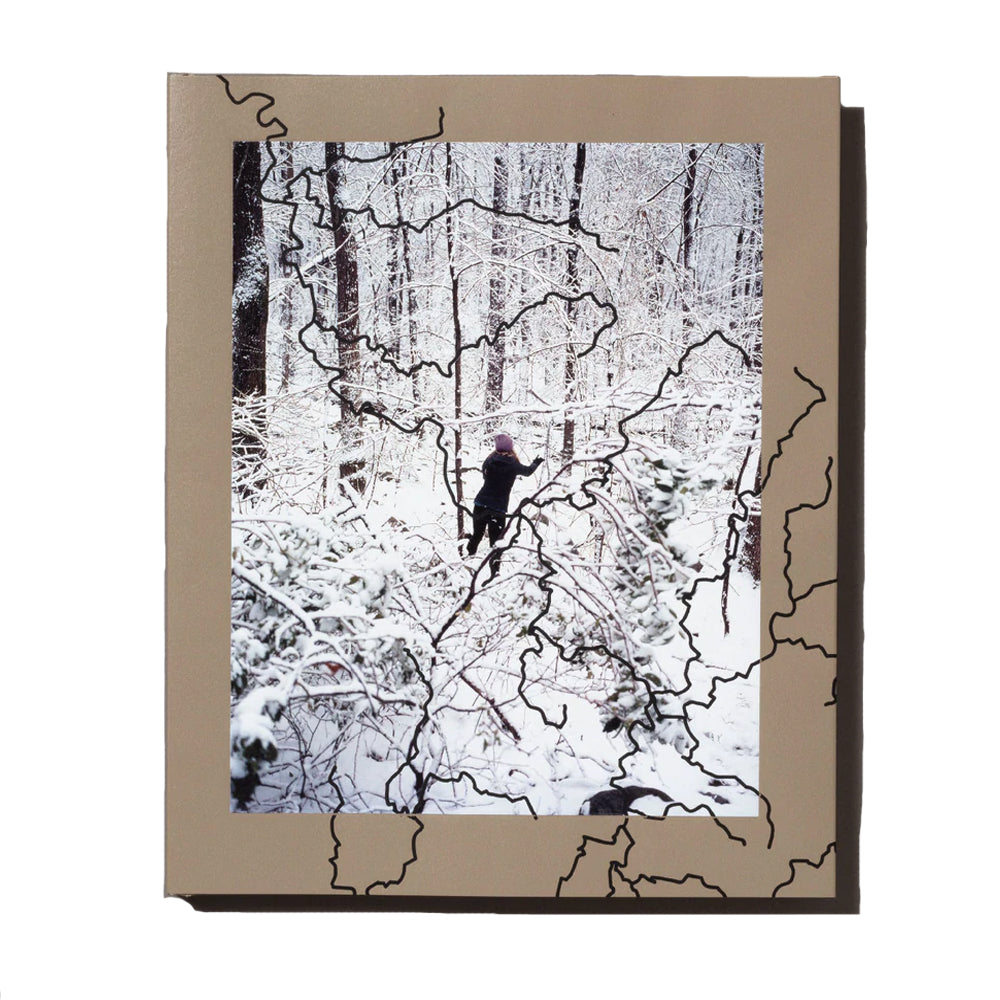 Jake Reinhart - Laurel Mountain Laurel Jake Reinhart - Laurel Mountain Laurel