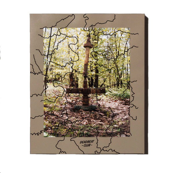 Jake Reinhart - Laurel Mountain Laurel