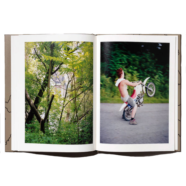Jake Reinhart - Laurel Mountain Laurel