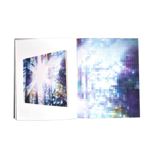 Hank Reavis - Tree Of Life