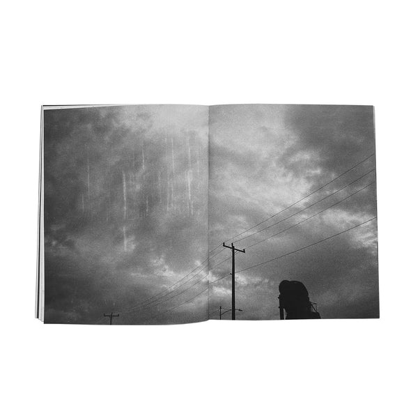 Hank Reavis - Tree Of Life