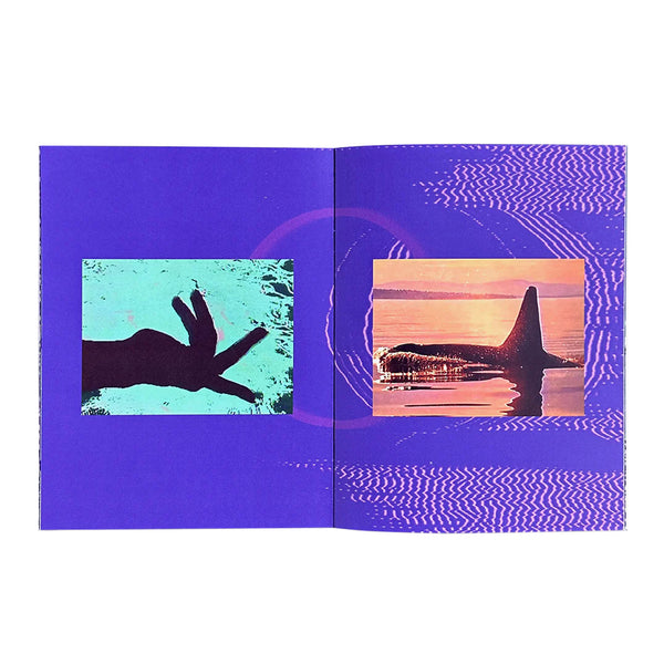 Dylan Khotin-Foote - Let Go All You Know