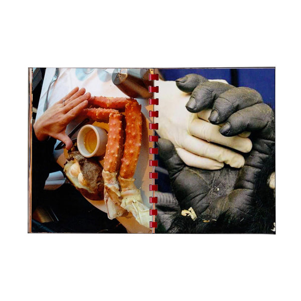 Pharmacy Books - Max Gavrich - Hand For Scale